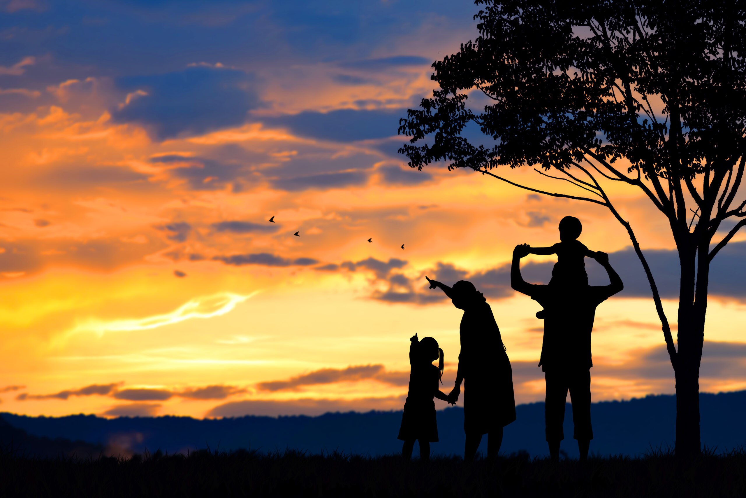 silhouette of a happy family of five people, mother, father, baby, child and infant(women prenancy)